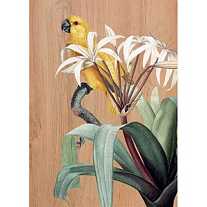 Yellow Parrots πίνακας διακόσμησης ξύλου L