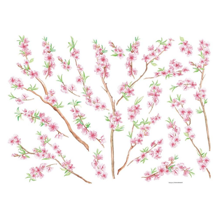 Peach Brance αυτοκόλλητα τοίχου βινυλίου