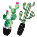 Watercolour Cactus αυτοκόλλητα τοίχου βινυλίου