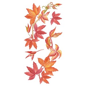 Virginia Creeper αυτοκόλλητα τοίχου βινυλίου