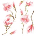 Magnolia αυτοκόλλητα τοίχου βινυλίου