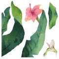 Tropical Flowers αυτοκόλλητα βινυλίου για τζάμι