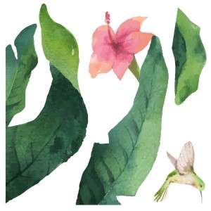 Tropical Flowers αυτοκόλλητα βινυλίου για τζάμι
