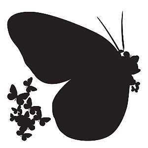 Butterflies Silhouettes αυτοκόλλητα τοίχου βινυλίου M