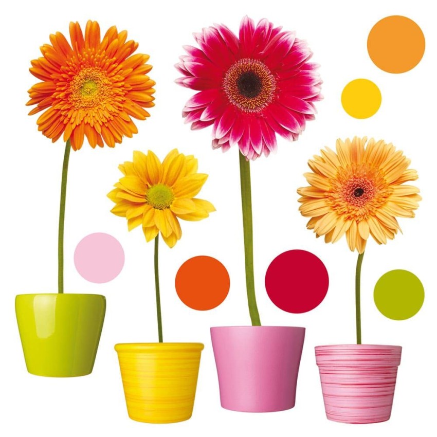 Gerberas αυτοκόλλητα βινυλίου για τζάμι M