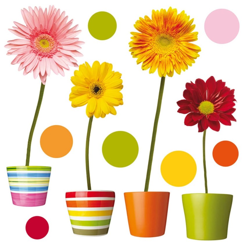 Gerberas αυτοκόλλητα βινυλίου για τζάμι M