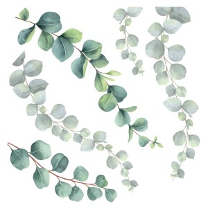 Eucalyptus αυτοκόλλητα τοίχου βινυλίου