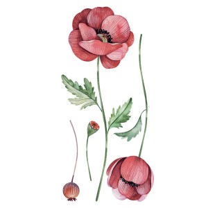 Poppies αυτοκόλλητα τοίχου βινυλίου