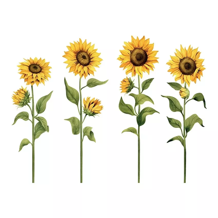 Sunflowers αυτοκόλλητα τοίχου βινυλίου