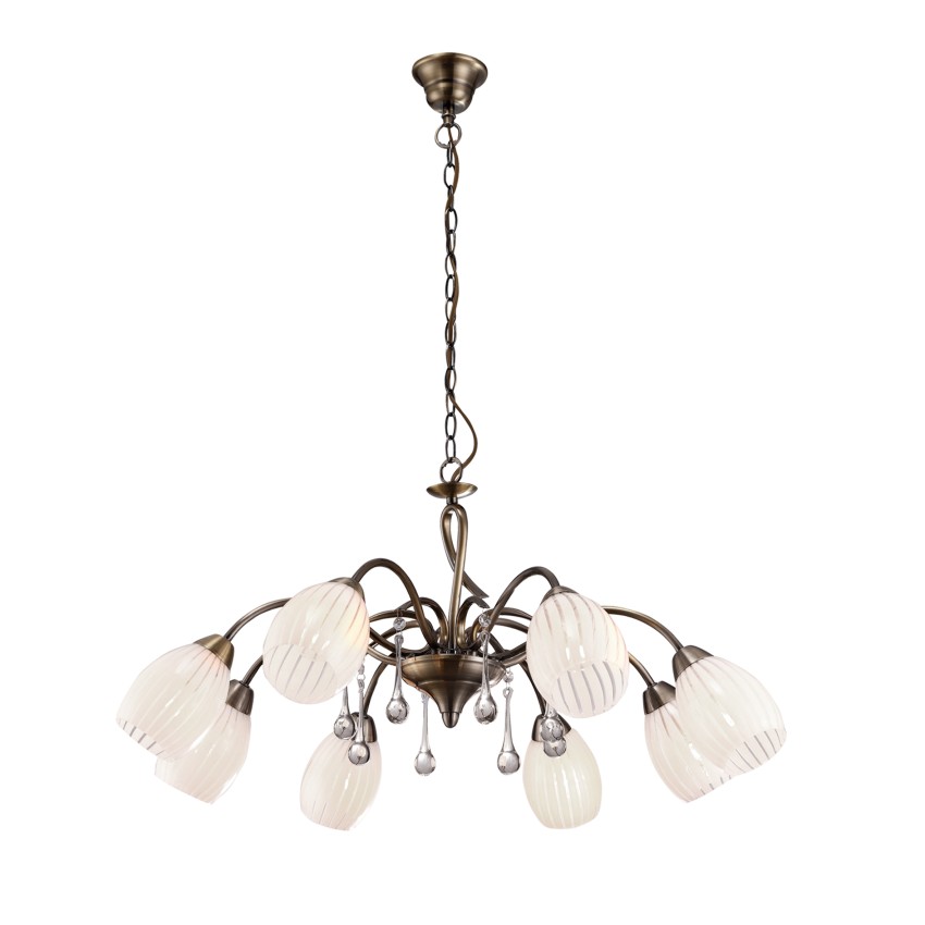 H9534/8 Pero H9534/8 Pero