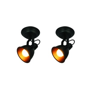 R50111102-1R (X2) Loop Packet Metal Blue-Black Adjustable Spotlight