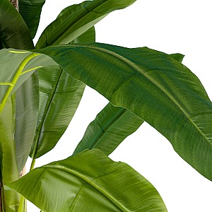 Τεχνητός Κήπος Banana Tree Glint® Τεχνητό Διακοσμητικό Φυτό Μπανανιά - Μπανανόδεντρο Υ240Cm