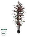 Τεχνητός Κήπος Bloodleaf Bamboo Glint® Τεχνητό Διακοσμητικό Φυτό Αιματόφυλλο Μπαμπού Υ170Cm