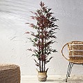 Τεχνητός Κήπος Bloodleaf Bamboo Glint® Τεχνητό Διακοσμητικό Φυτό Αιματόφυλλο Μπαμπού Υ170Cm