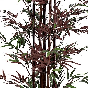 Τεχνητός Κήπος Bloodleaf Bamboo Glint® Τεχνητό Διακοσμητικό Φυτό Αιματόφυλλο Μπαμπού Υ170Cm