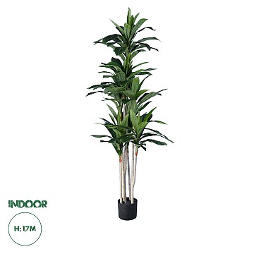 Τεχνητός Κήπος Dracaena Silk Glint® Τεχνητό Διακοσμητικό Φυτό Δράκαινα Υ170Cm