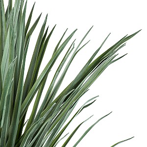 Τεχνητός Κήπος Beaucarnea Palm Tree Glint® Τεχνητό Διακοσμητικό Φυτό Κυρτόφυλλος Μπουκαρνέα Υ165Cm