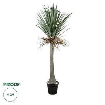 Τεχνητός Κήπος Beaucarnea Palm Tree Glint® Τεχνητό Διακοσμητικό Φυτό Κυρτόφυλλος Μπουκαρνέα Υ200Cm