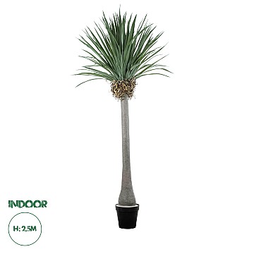 Τεχνητός Κήπος Beaucarnea Palm Tree Glint® Τεχνητό Διακοσμητικό Φυτό Κυρτόφυλλος Μπουκαρνέα Υ250Cm