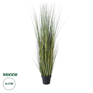 Τεχνητός Κήπος Pampas Grass Glint® Τεχνητό Διακοσμητικό Φυτό Γρασίδι Της Πάμπας Υ170Cm