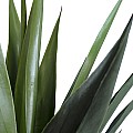 Τεχνητός Κήπος Sisal Agave Glint® Τεχνητό Διακοσμητικό Φυτό Αγαύη Υ110Cm