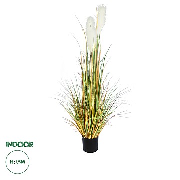 Τεχνητός Κήπος Pampas Grass Glint® Τεχνητό Διακοσμητικό Φυτό Γρασίδι Της Πάμπας Υ150Cm