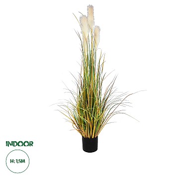 Τεχνητός Κήπος Pampas Grass Glint® Τεχνητό Διακοσμητικό Φυτό Γρασίδι Της Πάμπας Υ150Cm