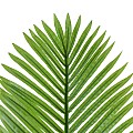 Τεχνητός Κήπος Areca Palm Leaf Glint® Τεχνητό Διακοσμητικό Φύλο Φοινικόδεντρου Αρέκα Π45 X Υ100Cm