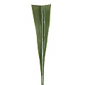 Τεχνητός Κήπος Areca Palm Leaf Glint® Τεχνητό Διακοσμητικό Φύλο Φοινικόδεντρου Αρέκα Π45 X Υ100Cm