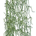 Τεχνητός Κήπος Tillandsia Hanging Branch Glint® Τεχνητό Διακοσμητικό Κρεμαστό Φυτό Ισπανικό Βρύο Τιλάντσια Υ120Cm