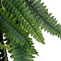 Τεχνητός Κήπος Fern Hanging Branch Glint® Τεχνητό Διακοσμητικό Κρεμαστό Φυτό Φτέρη Υ120Cm