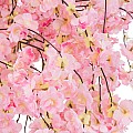 Τεχνητός Κήπος Pink Cherry Blossom Tree Glint® Τεχνητό Διακοσμητικό Δέντρο Ροζ Άνθος Κερασιάς Υ140Cm