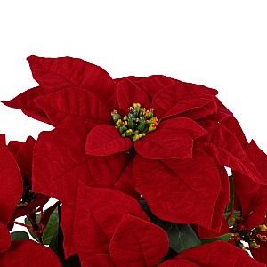 Τεχνητός Κήπος Christmass Flower Euphorbia Glint® Τεχνητό Διακοσμητικό Χριστουγεννιάτικο Λουλούδι Αλεξανδρινό Υ49Cm