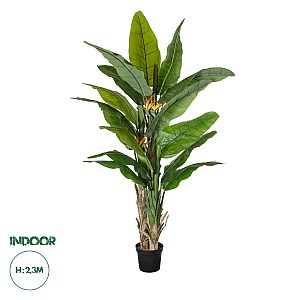 Τεχνητός Κήπος Banana Strelitzia Reginae Glint® Τεχνητό Διακοσμητικό Φυτό  Μπανανιά - Στρελίτσια - Πουλί Του Παραδείσου Υ230Cm