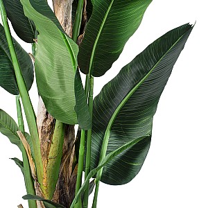 Τεχνητός Κήπος Banana Tree Glint® Τεχνητό Διακοσμητικό Φυτό  Μπανανιά Υ300Cm