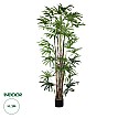 Τεχνητός Κήπος Broadleaf Lady Palm Tree Glint® Τεχνητό Διακοσμητικό Φυτό Πλατύφυλλος Φοίνικας Μπαμπού Υ300Cm