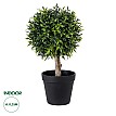 Τεχνητός Κήπος Ficus Benjamina Tree Glint® Τεχνητό Διακοσμητικό Φυτό Φίκος Μπενζαμίνη Υ35Cm