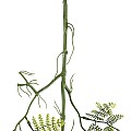 Τεχνητός Κήπος Fern Hanging Branch Glint® Τεχνητό Διακοσμητικό Κρεμαστό Φυτό Φτέρη Υ89Cm