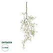 Τεχνητός Κήπος Eucalyptus Hanging Branch Glint® Τεχνητό Διακοσμητικό Κρεμαστό Φυτό Ευκάλυπτος Υ90Cm