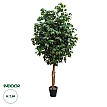 Τεχνητός Κήπος Ficus Benjamina Tree Glint® Τεχνητό Διακοσμητικό Φυτό Φίκος Μπενζαμίνη Υ210Cm