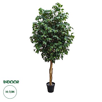 Τεχνητός Κήπος Ficus Benjamina Tree Glint® Τεχνητό Διακοσμητικό Φυτό Φίκος Μπενζαμίνη Υ210Cm