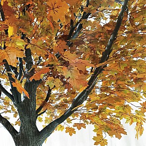 Τεχνητός Κήπος Acer Rubrum Sycamore Tree Glint® Τεχνητό Διακοσμητικό Δέντρο Κόκκινος Σφένδαμος Υ400Cm