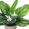 Τεχνητός Κήπος Silver Pothos Potted Plant Glint® Διακοσμητικό Φυτό Πόθος Φ40 X Υ33Cm