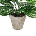 Τεχνητός Κήπος Silver Pothos Potted Plant Glint® Διακοσμητικό Φυτό Πόθος Φ40 X Υ33Cm