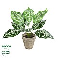 Τεχνητός Κήπος Zebra Potted Plant Glint® Διακοσμητικό Φυτό Ζέμπρα Φ40 X Υ33Cm