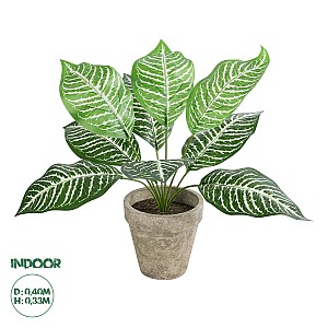 Τεχνητός Κήπος Zebra Potted Plant Glint® Διακοσμητικό Φυτό Ζέμπρα Φ40 X Υ33Cm