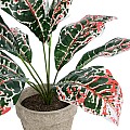 Τεχνητός Κήπος Red Aglaonema Potted Plant Glint® Διακοσμητικό Φυτό Κόκκινο Αγλαόνημα Φ40 X Υ33Cm