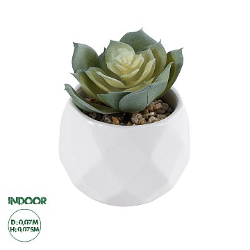 Τεχνητός Κήπος Succulent Echeveria Glint® Διακοσμητικό Φυτό Παχύφυτο Εχεβέρια Υ7.5Cm