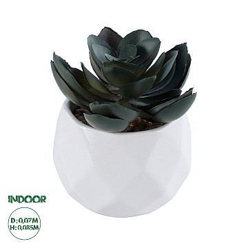 Τεχνητός Κήπος Succulent Echeveria Glint® Διακοσμητικό Φυτό Παχύφυτο Εχεβέρια Υ8.5Cm