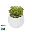 Τεχνητός Κήπος Succulent Echeveria Potted Plant Glint® Διακοσμητικό Φυτό Εχεβέρια Φ6 X Υ8,5Cm